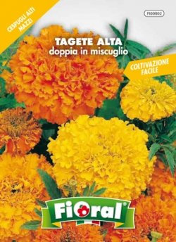 Sementi da fiore di qualità in bustina per uso amatoriale (TAGETE ALTA DOPPIA IN MISCUGLIO)