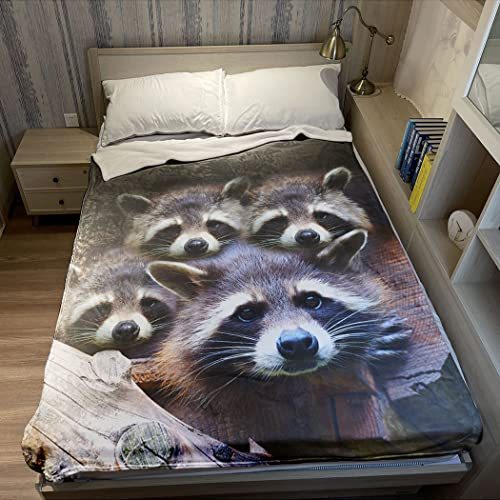 Violetpos Dick Decke Weich Wärme Gemütlich Flanell-Fleece Sofadecke Deckeldecke Nette Graue Waschbär-Tiere 150 x 200 cm
