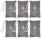 Air Purifying Bag Activated Car Air Freshener Bamboo Charcoal Bags Nature Fresh Deodorizer Moisture Absorber for Bathroom Activated Odor Absorber For Shoes Fridge Pet Home（6Pack 100g Each）