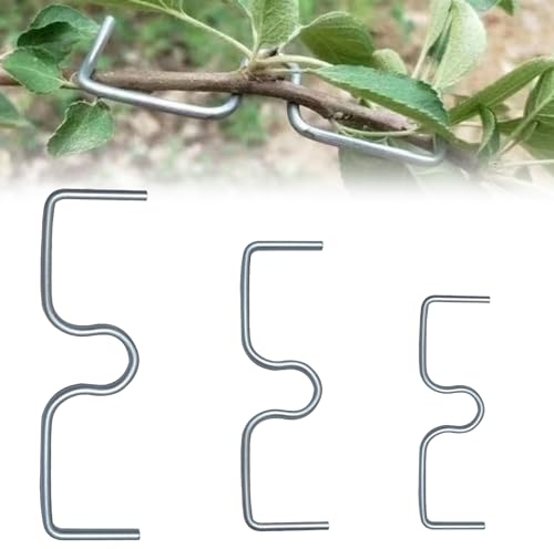 Coffee Life Plus 30pcs Arbre Branche extracteur,Outil de cintrage de Branche de Fruits,Écarteurs De Branches,pour Arbres fruitiers Cour Arbres Branches Fixateur Agriculteur Cadeau Réutilisable Outils