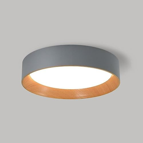TONFON Lámpara de techo con pantalla acrílica nórdica, lámpara de techo empotrada LED for el hogar, lámpara de techo moderna y sencilla for sala de estar, dormitorio, comedor, cocina, pasillo, entrada