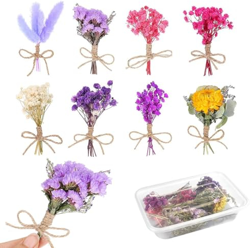 HAOMEEDUO 8 Bündel Mini Trockenblumen Natürliche Getrocknete Blumen Klein Trockenblumen Set Trockenblumen Deko Trockenblumenstrauß Klein Getrocknete Blumen für DIY Basteln Handwerk Scrapbooking Deko