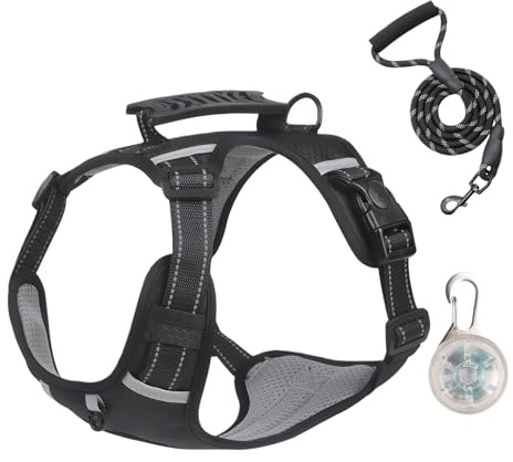 Harnais pour Chien - Harnais Anti-Traction avec Bandes Réfléchissantes,Laisse Chien Ajustable Robuste | pour Le Dressage, Le Voyage, Le Vélo, Le Toilettage, Le Camping Et La Randonnée