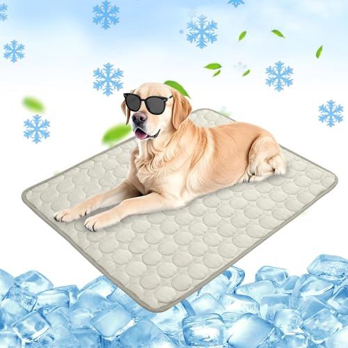 Chumix Lit pour Cage pour Chien, Coussinets Doux et lavables pour chenil, Grands Chiens et Chats, Idéal pour la Maison, la Voiture et Les Voyages (100 x 70 cm XL)