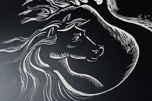 Clairefontaine 96801C Paquet Carte À Gratter - 5 Feuilles Carte Rigide Noire Contrecollée sur un Carton - 50x65 cm 520g - Idéal pour le Dessin en Négatif Noir et Blanc