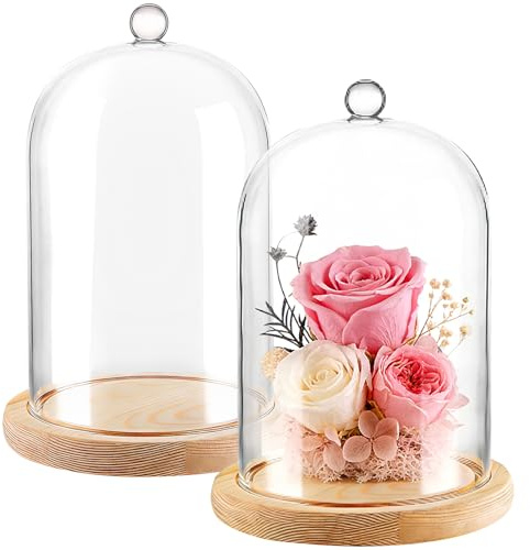 AKOLAFE 2 Piezas Campana Cristal con Base Madera, Cupula Decorativa con Asa 12 x 18 cm, Cloche Transparente para Flores Velas Figuras Decoración Hogar Mesa