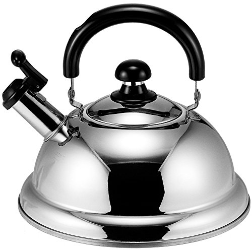 Kettle 2.5L TK-250 to come quick one energy-saving whistling (japan import)