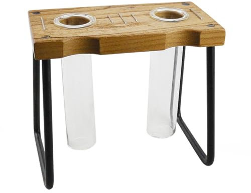 Propagateur de,Tubes en Verre pour Boutures et Germination - Décoration Intérieure Et Accessoires De Jardinage pour Boutures De Pothos Et Fleurs