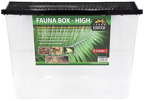 Terra Exotica Fauna Box Flat (Large, Small) oder Fauna Box High (Large, X-Large) - Transportbox für Reptilien, Amphibien,Mäuse - Kunststoffterrarium/Zuchtbox für Insekten (High, Extra-Large)