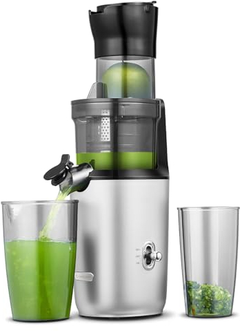AMZCHEF Whole Fruit Juicer Machines, 80MM Diameter Slow Masticating Juicer, Powerful Cold Press Juicers with Upgrade Auger, Double-Layer Filter, Retro Toggle Switch, Quiet Motor, Silver