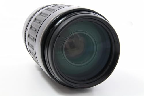 Canon - Objetivo EF 100-300 mm / 1:4,5-5,6 USM (Rosca para Filtro de 58 mm)