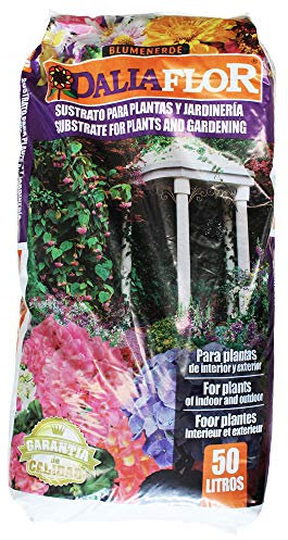 Dalia Flor - Terriccio universale 50 litri 143969