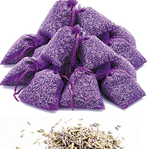 OLILLY Raccolta 2025-25 Sacchetti con Lavanda di Provenza (Malva, 25 Sacchetti)