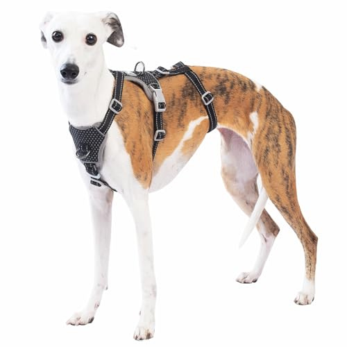 Huntboo Pettorina Antifuga Cane, Pettorina Cane Taglia Media Grande Piccola, Imbracature Riflettenti Anti-Trazione per Animali, Regolabile, Traspirante per Allenamento e Corsa (Nero,XL)