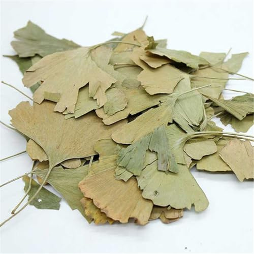 50g Tisana Medicinale Fatta a Mano Da Foglie Di Ginkgo Foglie Di Ginkgo Biloba Tea Cinese Sostitutivo Della Pianta Bevanda Dolce E Dal Gusto Delicato (250g)