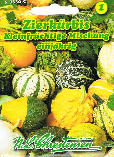 Zierkürbis Kleinfrüchtige Mischung rankend Kürbis Cucurbita pepo var. ovifera