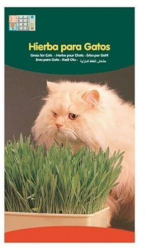 Sobre de Semillas de Hierba para Gatos Muy Beneficiosa