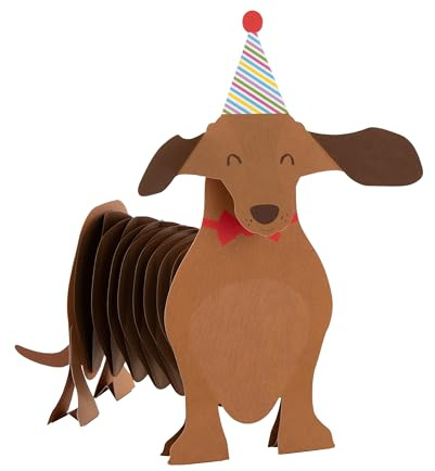 Hallmark 3D & Pop Up Birthday Card, Cute Sausage Dog Design, Birthday Wishes, Colourful