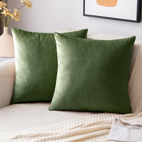 EMEMA Samt Kissenbezug Kissenhülle 40x40 cm Dekorative Dekokissen Matcha Grün Sofakissen Lendenkissen Wurfkissenbezug mit Verstecktem Reißverschluss Schlafzimmer Sofa 2er Set