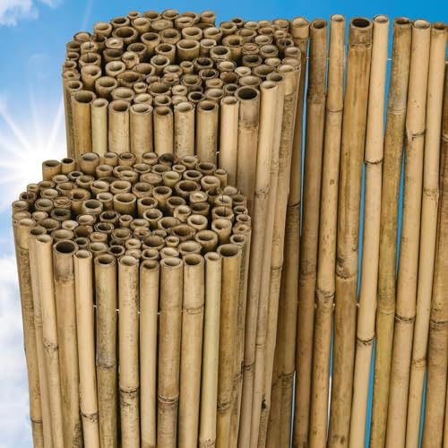 Mugar- Valla de Bambú Premium 2.50 m Natural, Cañas de Bambú endurecido decorativo exterior e interior. Resistente a la interperie, para cerramientos, cañizos naturales (2.50 x 2.00 m (L x A))