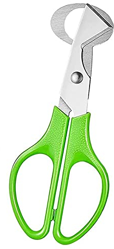 iZhuoKe Ciseaux à Oeufs de Caille,Acier Inoxydable Caille Ciseaux,MéTal Oeuf Shell Cutter,pour la Cuisine à Domicile Petit Caille Oeuf Ciseaux Outil de Cuisine(Vert)