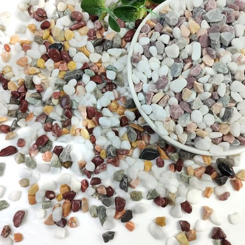 SHIZWU Garden Stones, Gravel for Garden, Plant Pots, Fish Tank, Aquarium, Landscaping, Vase Fillers, Christmas Cactus and Succulents (6-9mm, 0.9kg)