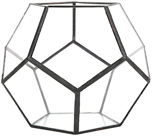 CLQ Jardinière en Verre Air Plantes Succulentes Carnivores Pot De Fleur pour Adultes Mousse Vivante Décoration De Paysage Géométrique