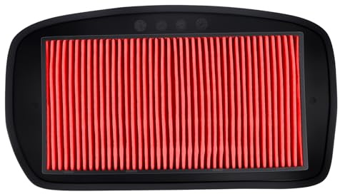 Cyleto Filtri Aria per Yamaha FZ6 2004-2010 Fazer 600 FZ6 2004-2006 FZ6 Fazer S2 ABS 2007-2009