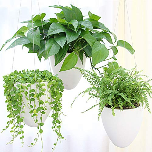 LOYUYU 3-Pack Selbst Bewässerung Hängepflanze, Sukkulente Blumentopf Luft Pflanzenhalter, Einzigartige Eierschale Hängende Sukkulente Blumentöpfe, Home Garden Office Dekorative Container Matte Weiß