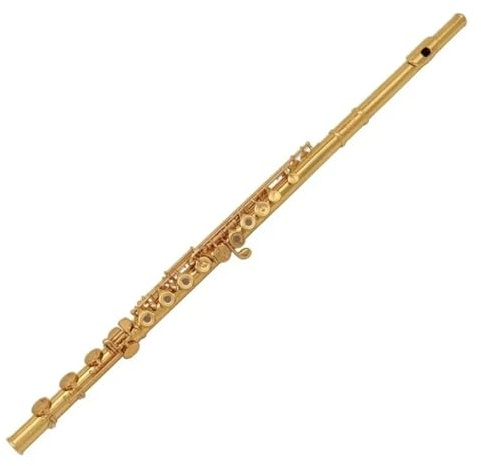 tvärflöjt instrument Flöjt 17 hål stängt hål öppet hål professionell flöjt