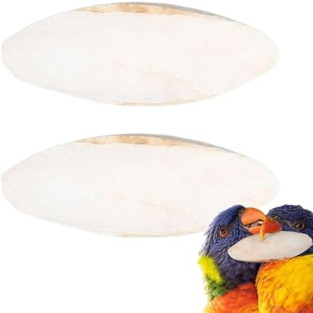Os de Seiche 2 Pièces Pierre à Bec Oiseau | Pierre à Bec 15-20 cm pour Perruche Reptile Perroquet Canari Calopsitte Aquarium