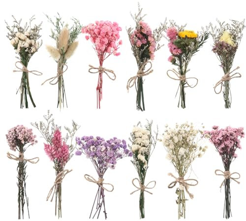Cosmeria Ramo de Flores Secas 12 Piezas, Decoración de Flores Secas Naturales con Lavanda, Margaritas y Nomeolvides, Versátil para Casa, Oficina