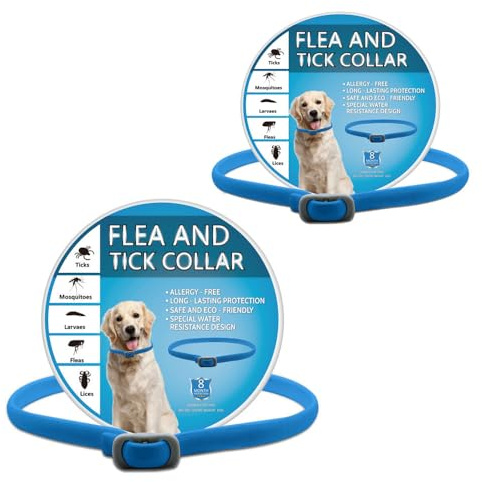 2 Pack Dog Collars, Adjustable Collars for Dogs, Water-Resistant for Puppies Small Medium Large Dogs,blue