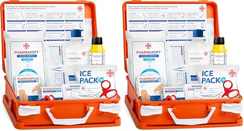 AIESI® Cassetta medica di pronto soccorso con ALLEGATO 2 per aziende meno 3 dipendenti, Conforme DM388/DL81, Made in Italy (Confezione da 2)