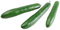 Deco Woerner Bauerngurken Lebensmittel-Attrappe 5 x 24 cm 3 STK. Fake Gurken Deko Gurken naturgetreue Gurke Gurken-Imitat
