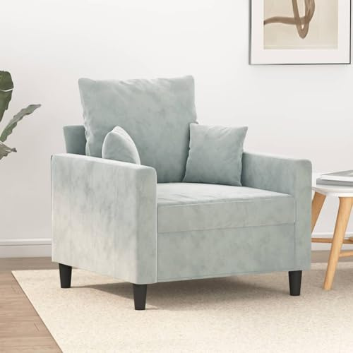 ZQQLVOO Sillón de terciopelo con estructura de metal, cómodo sillón de lectura con acolchado, moderno sillón de salón para relajarse y ver la televisión, resistente hasta 110 kg, sofá de terciopelo