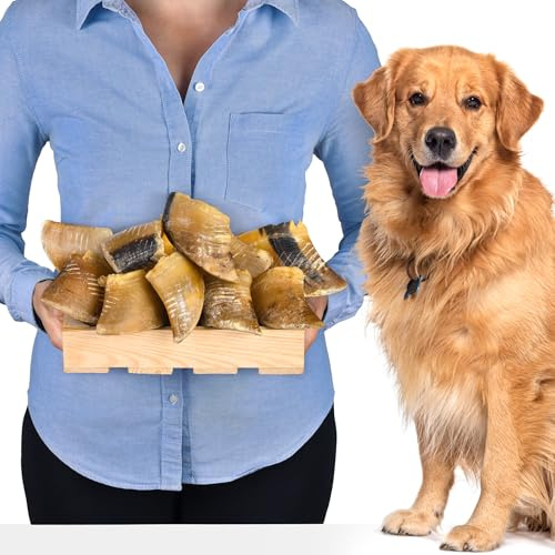 Sabots de bœuf pour Chiens 10 pièces (1kg) | Friandises Naturelles à mâcher | sans additifs ni colorants | Soin Dentaire | Longue durée