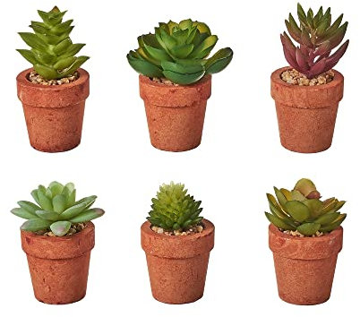 LOLAhome Set de 6 Plantas Artificiales de Cactus con Maceta de pastade Papel Terracota
