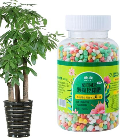 Fertilizzante per piante d'appartamento fertilizzante per piante a rilascio lento Particelle nutrienti di fertilizzanti nutrienti per piante in vaso, Promuove la coltivazione di fiori, frutta e ferti