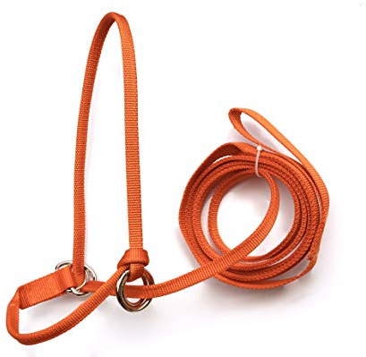 Halter-All Medium Donkey Small Mule Endless Adjustable Halter & Lead USA (Purple)
