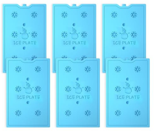 Kyzuzia Lot de 6 Blocs réfrigérants réutilisables pour Sac Isotherme, capacité de 200 ML, Parfaits pour glacière et extérieur