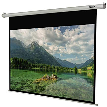 Celexon Leinwand Motor Economy 220 x 124 cm