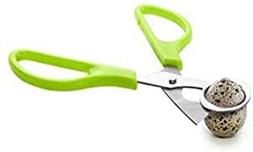 IBILI 768200 Forbici per uova di quaglia, Inox, Verde, 14 x 6 x 1 cm