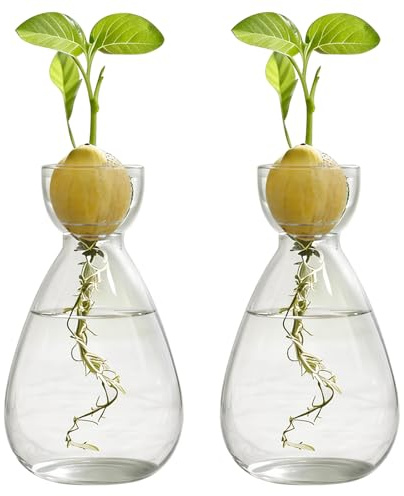 FARYODI Macetero de cultivo hidropónico, 2 unidades, semillas de aguacate, jarrón de iniciación, hidroponía, terrario, para amantes de las plantas, plantas acuáticas o flores, decoración de mesa de