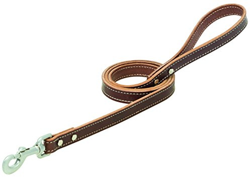 Terrain D.O.G. Bridle Leather Dog Leash, Brown, 1 x 6'