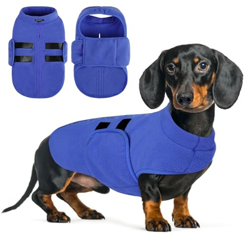 Queenmore Maglioncino Cane, Felpa Cane Taglia Piccola, Cappotto Invernale | Maglione Cane Caldo Per Cani, Giacca Per Cani, Gilè Per Cani, Maglione Per Cani Bassotto, Chihuahua, Bulldog, Blue,XS