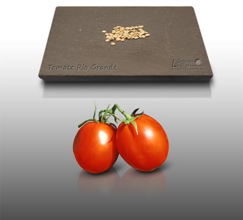 50 graines à semer - Le Grenier d'Abondance - TOMATE Rio Grande - Solanum Lycopersicum