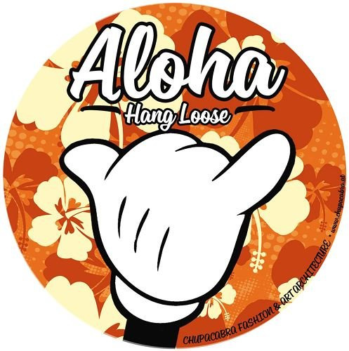 unbekannt Aloha Surfer Aufkleber Sticker Windsurfen Meer Wellen Fun ca. 10 cm