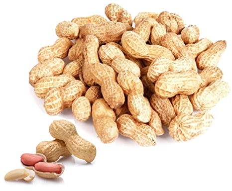 MONKEY NUTS Peanuts In Shell 2kg 1kg 500g 250g Parrot Hamster Squirrel Food Feed Treat (250g)