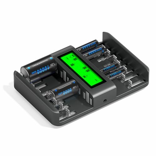 CITYORK Cargador para pilas AA AAA C D NI-MH con conector micro USB Plug